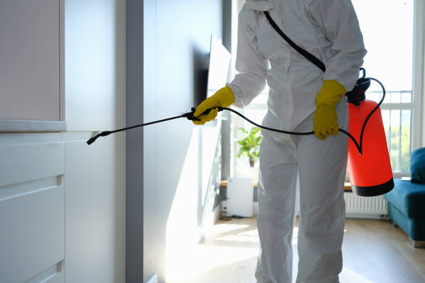 Best Toxic Mold Removal  in Jarrell, TX