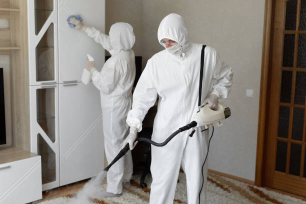 Best Crawl Space Mold Removal  in Jarrell, TX